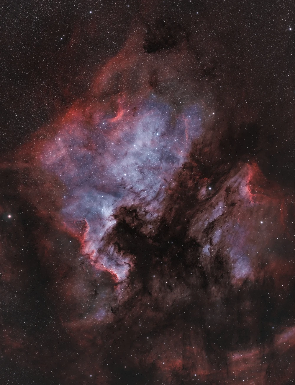 American and Pelican Nebulas