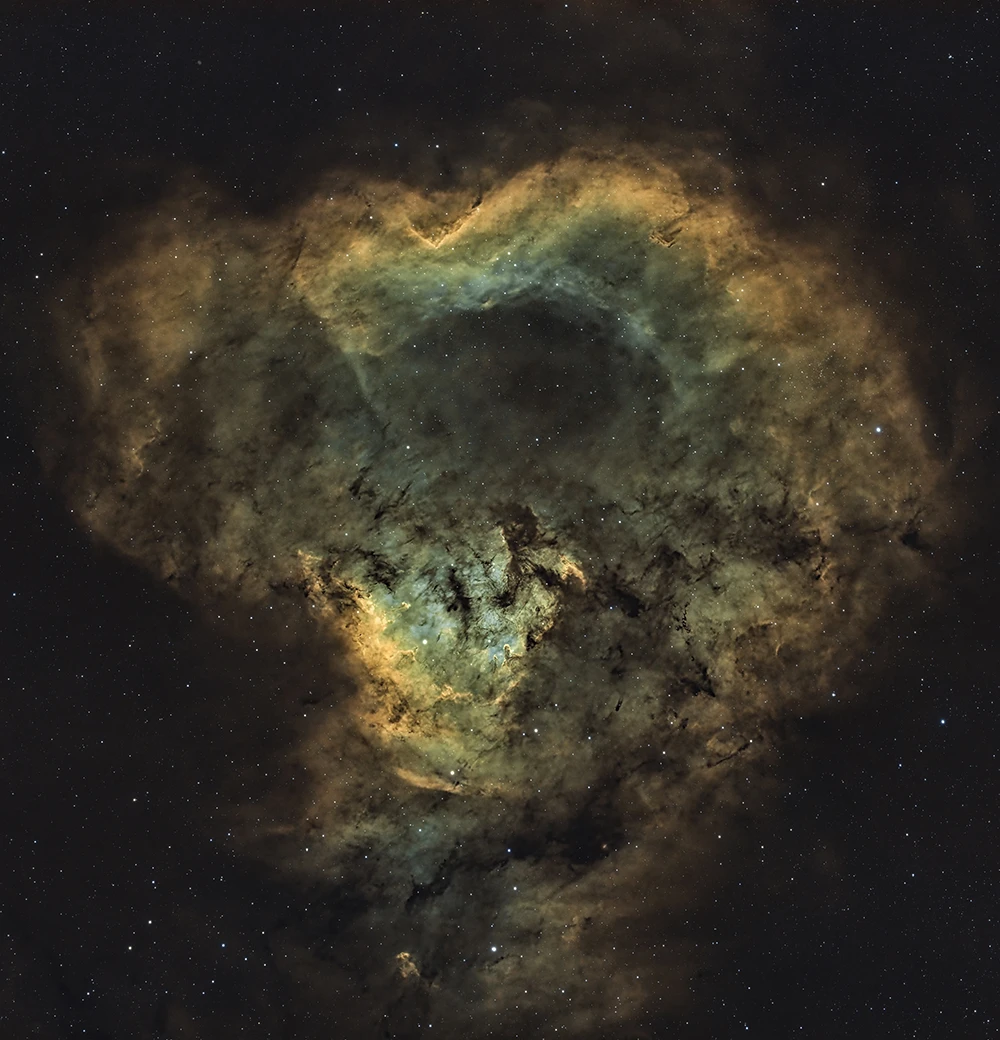 Cederblad 214 Nebula
