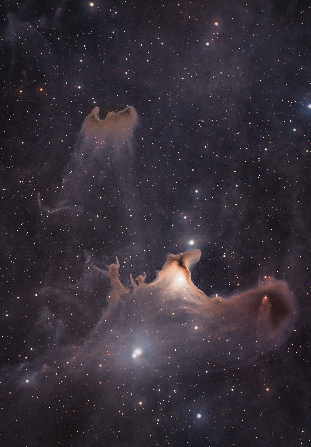 Ghost Nebula consisting of dark nebula and reflection nebula