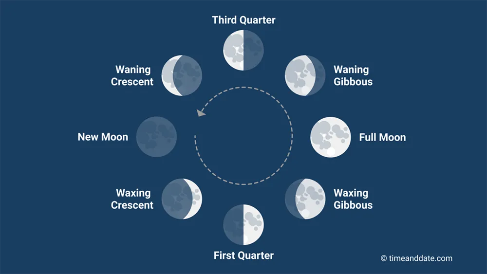 moon phases
